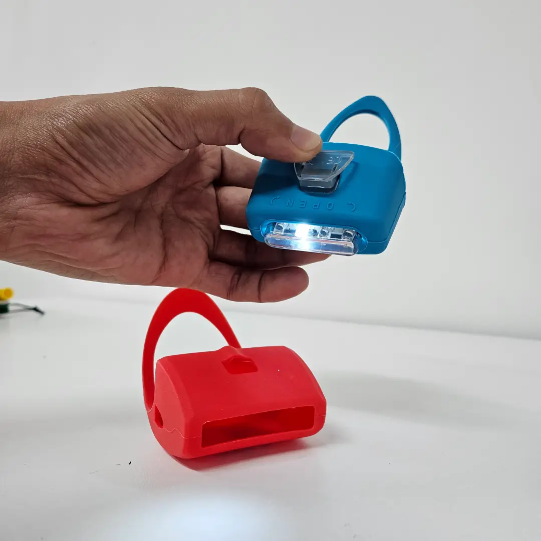 Silicone case overmolded onto LED electronics assembly for environmental sealing